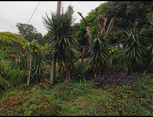 625M² VACANT LAND FOR SALE IN SEA COW LAKE